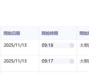 將模型加入業務主鍵後，至METIS上作業點選明細時會報錯